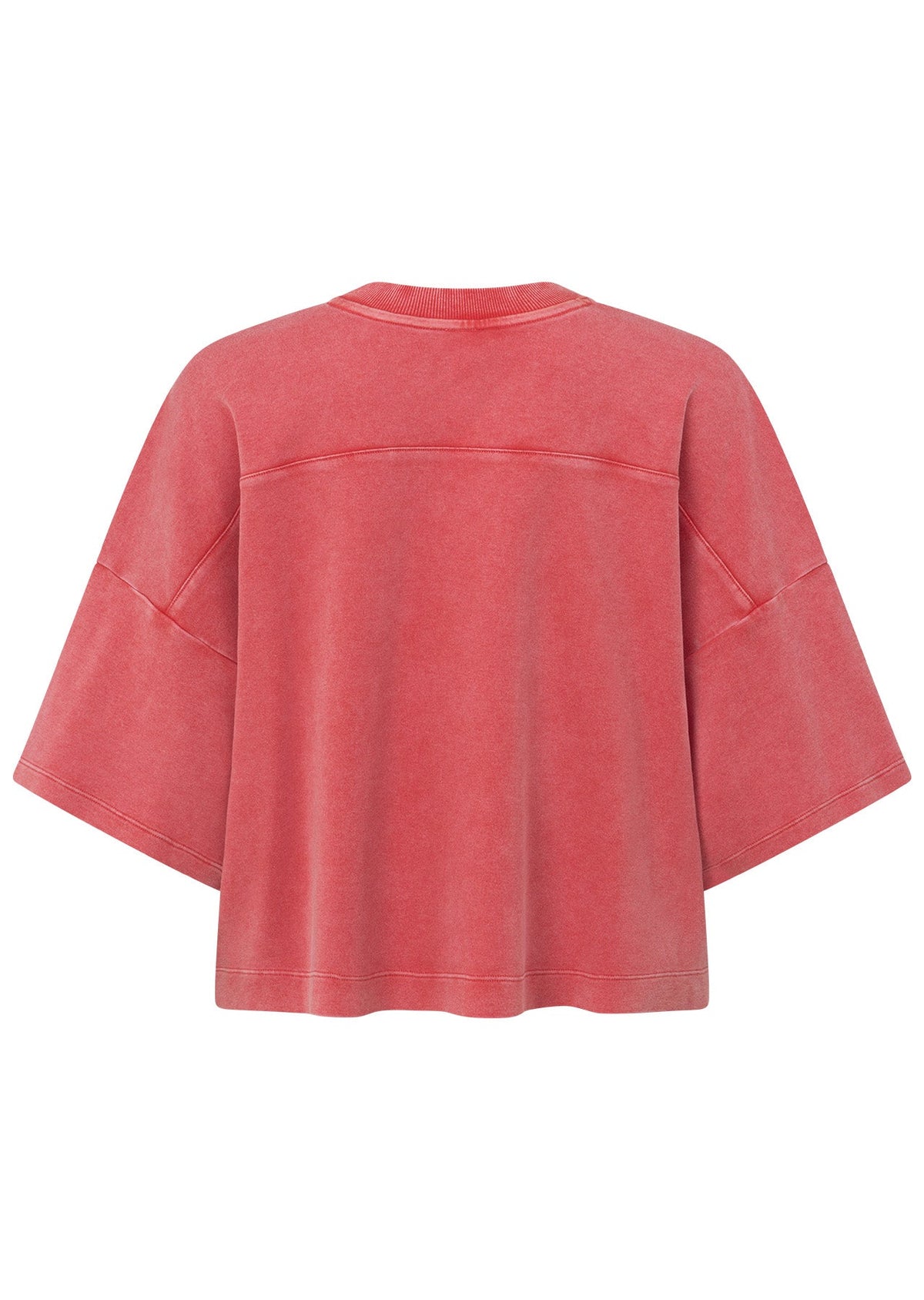 College Nostalgia Cropped T-Shirt