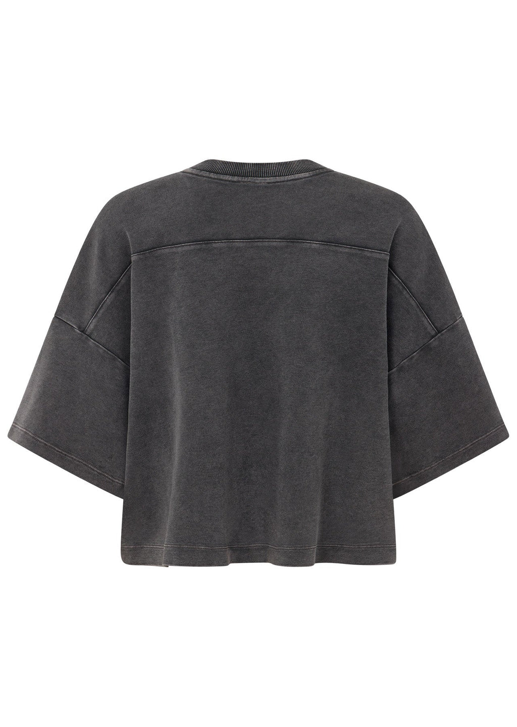 College Nostalgia Cropped T-Shirt