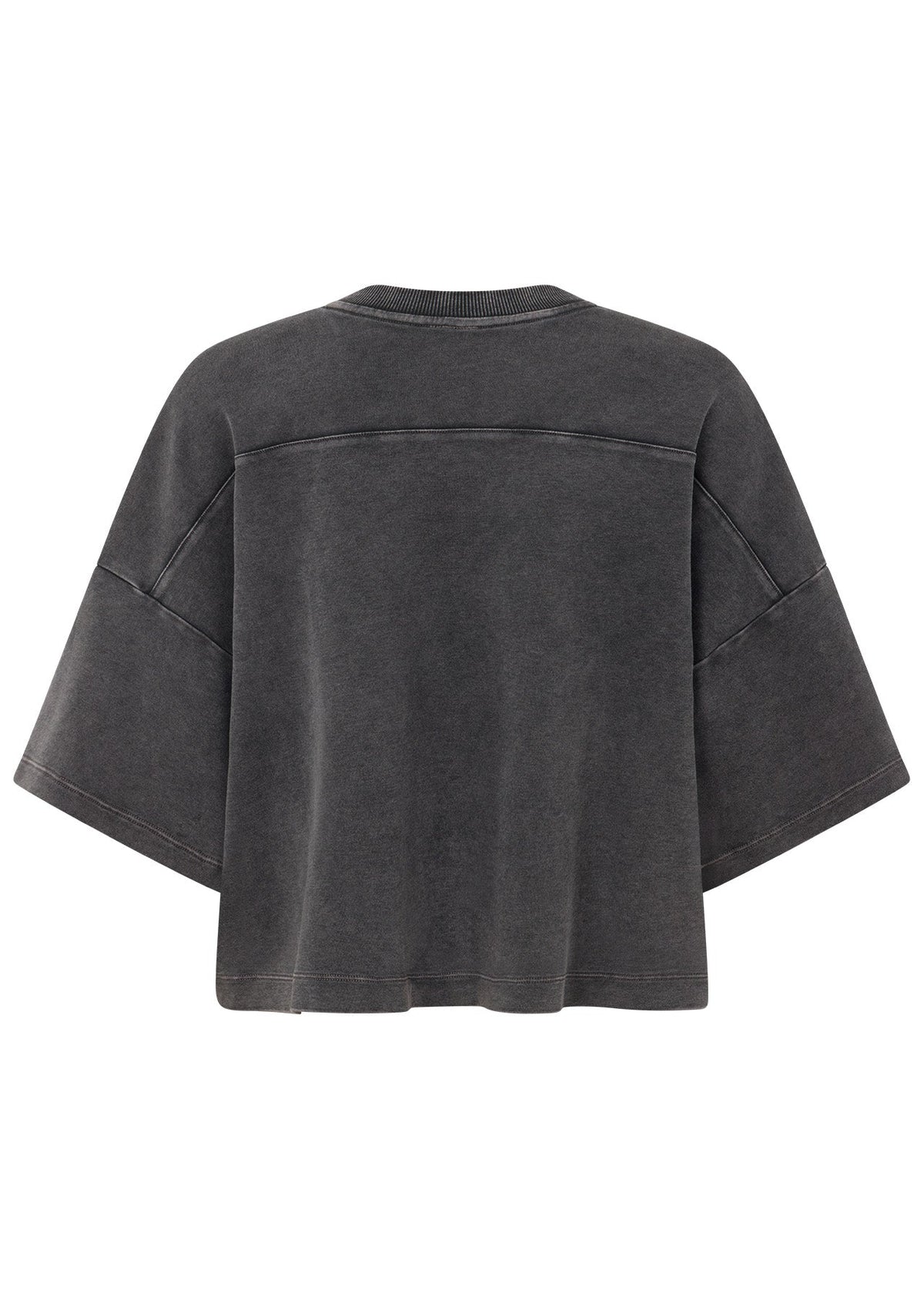 College Nostalgia Cropped T-Shirt