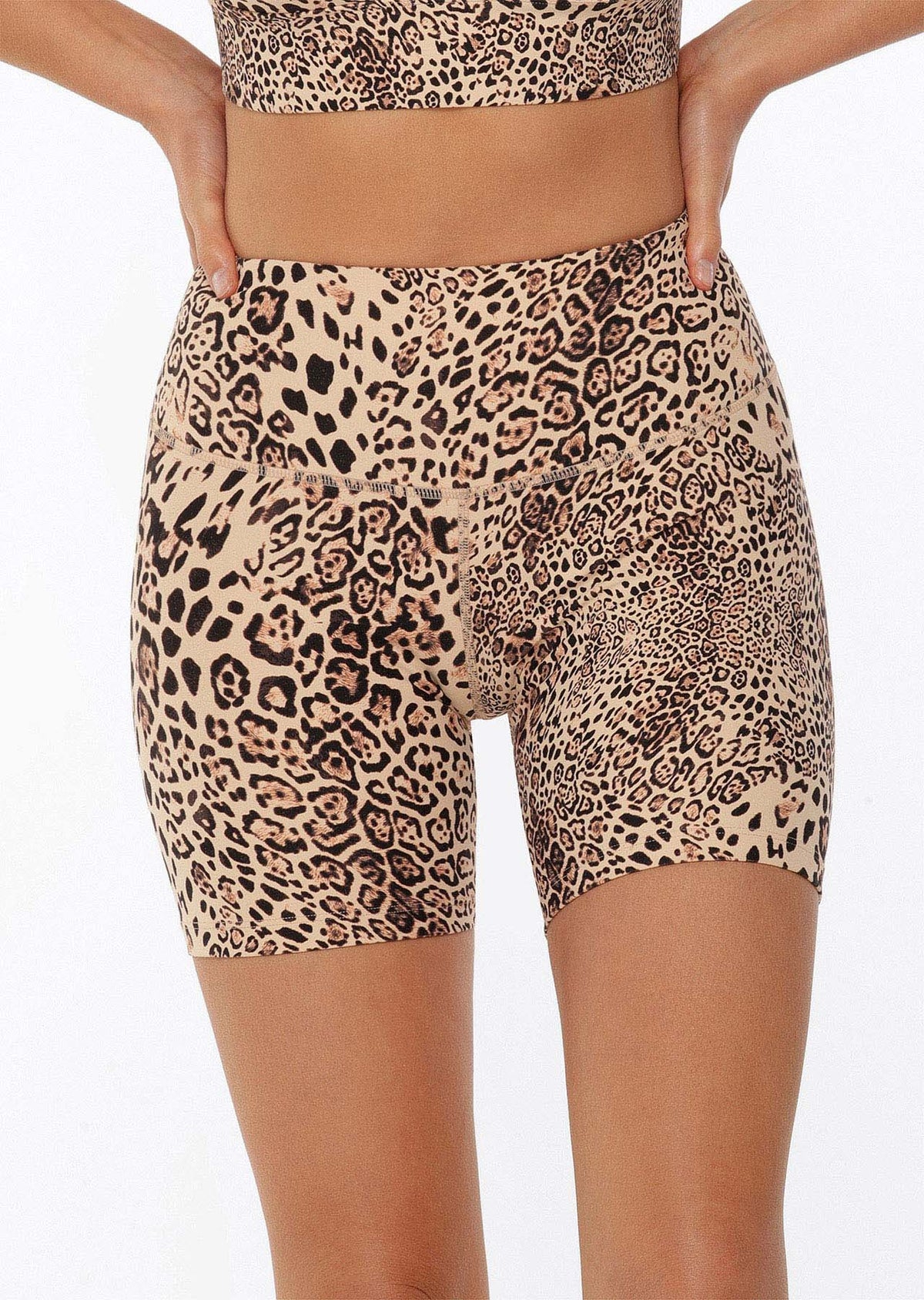 Ocelot Excel Bike Shorts