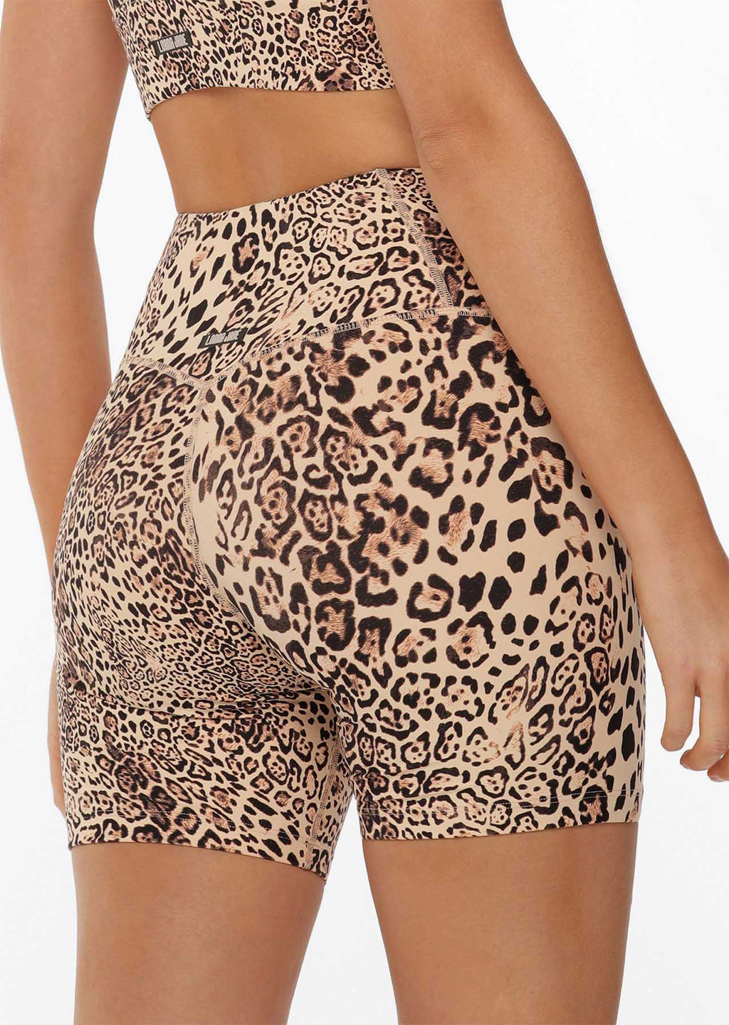 Ocelot Excel Bike Shorts
