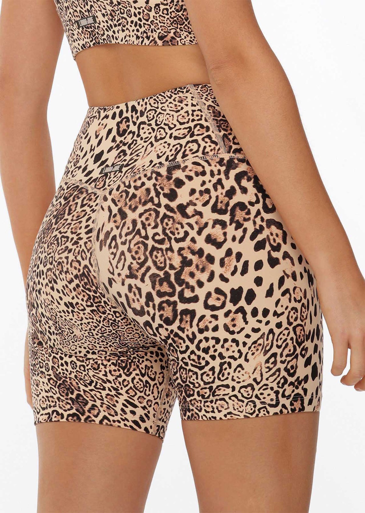 Ocelot Excel Bike Shorts