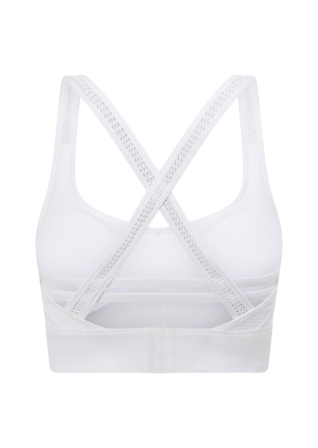 Possibility Sports Bra