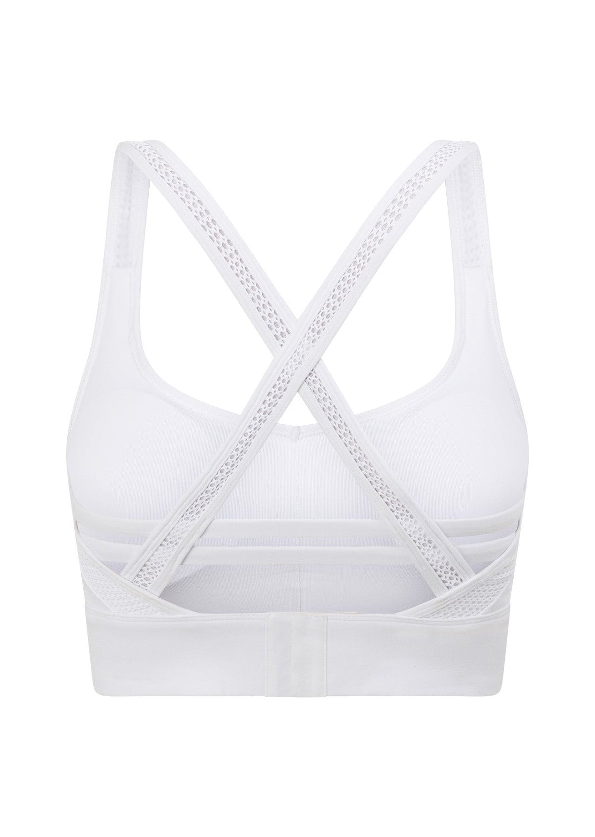 Possibility Sports Bra