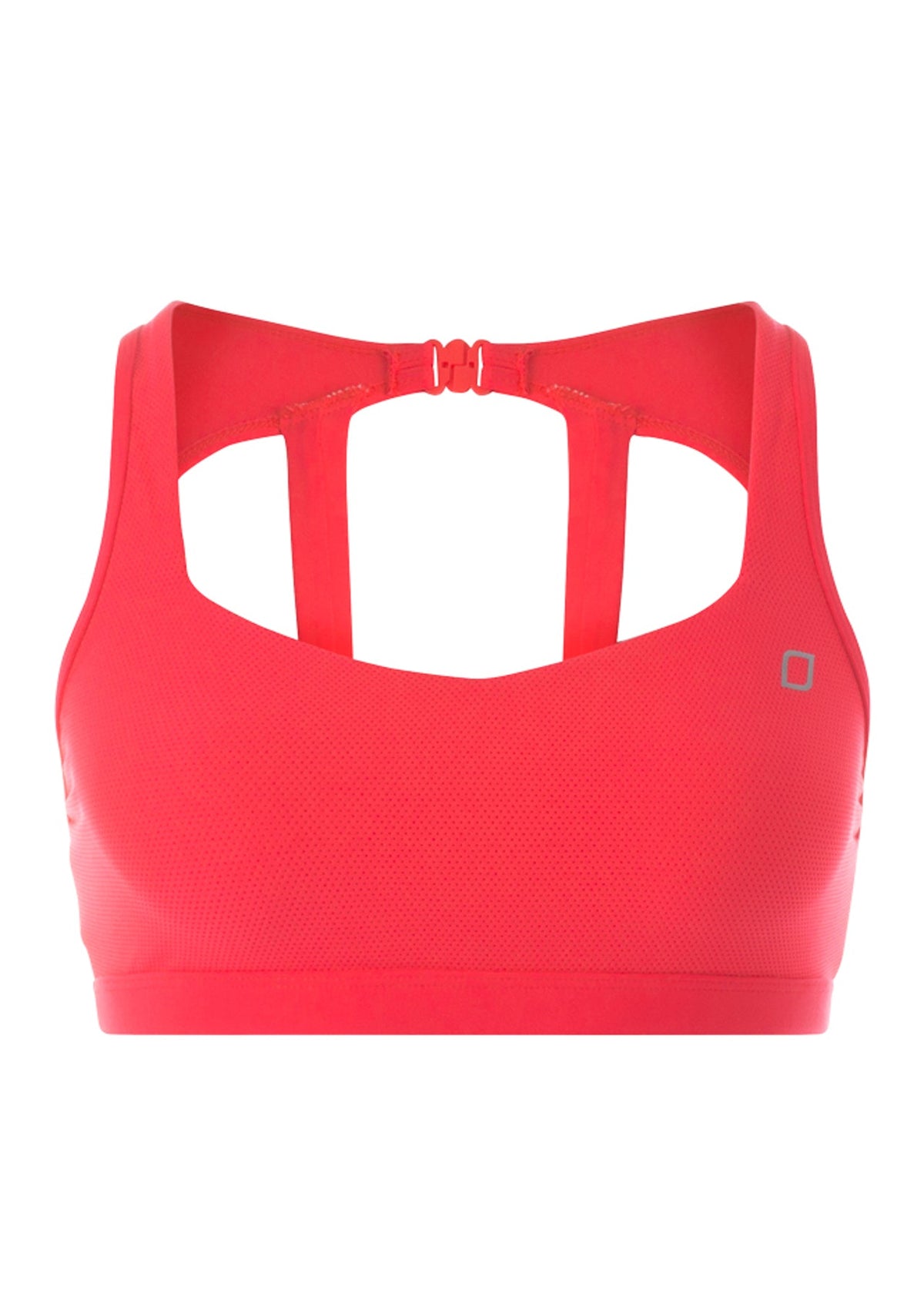 Addi Sports Bra