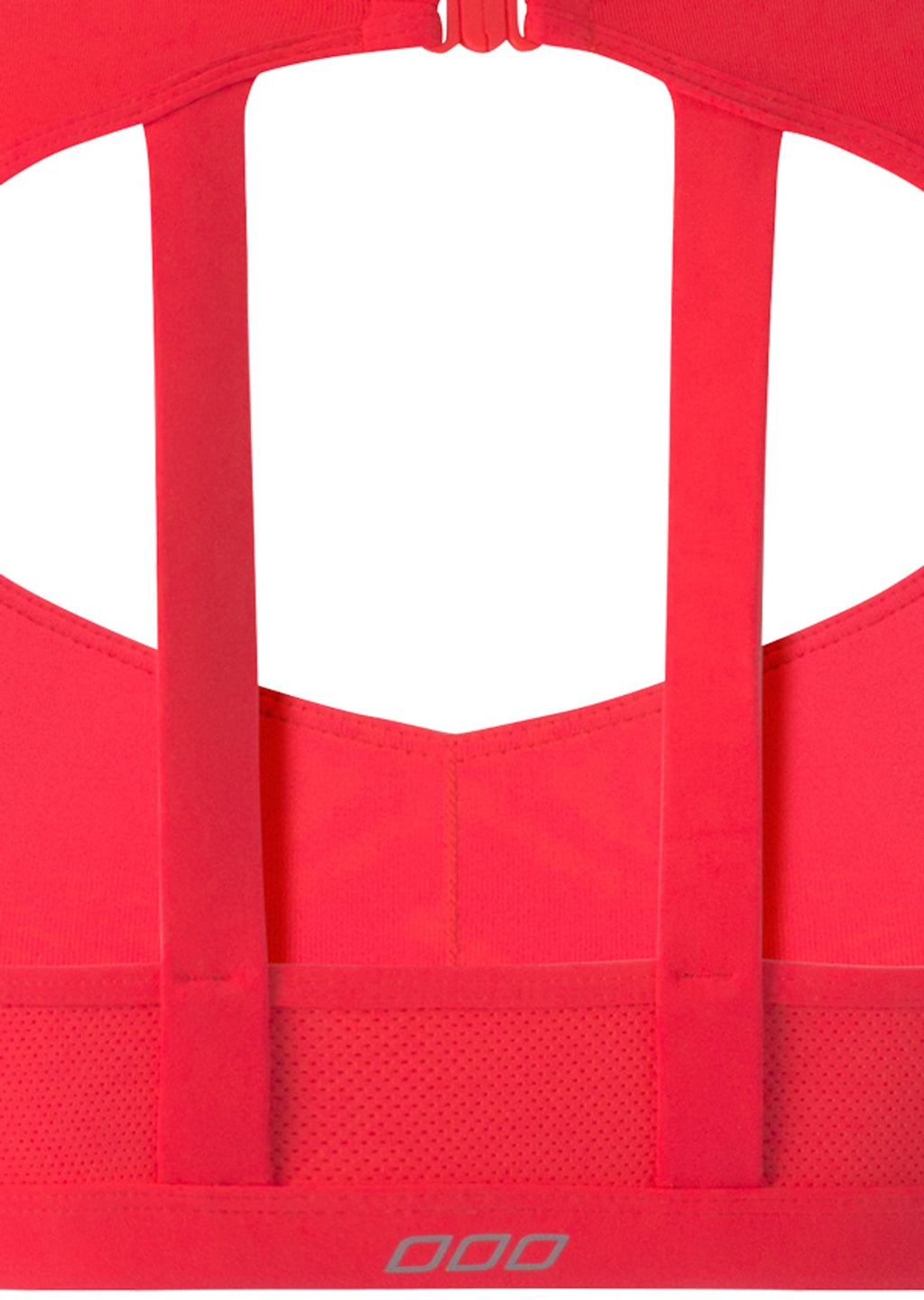 Addi Sports Bra