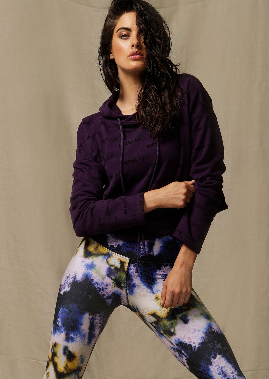Iconic Cropped Hoodie