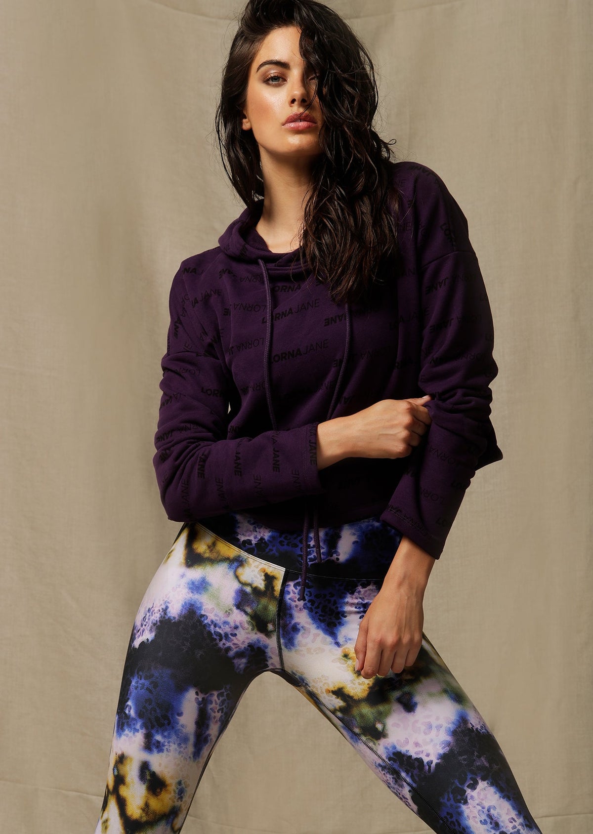 Iconic Cropped Hoodie